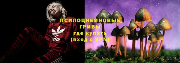 индика Остров