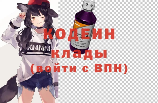 гашик Осташков