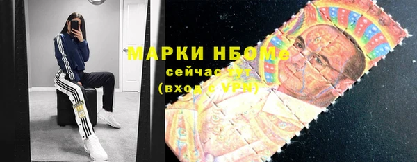 гашик Осташков
